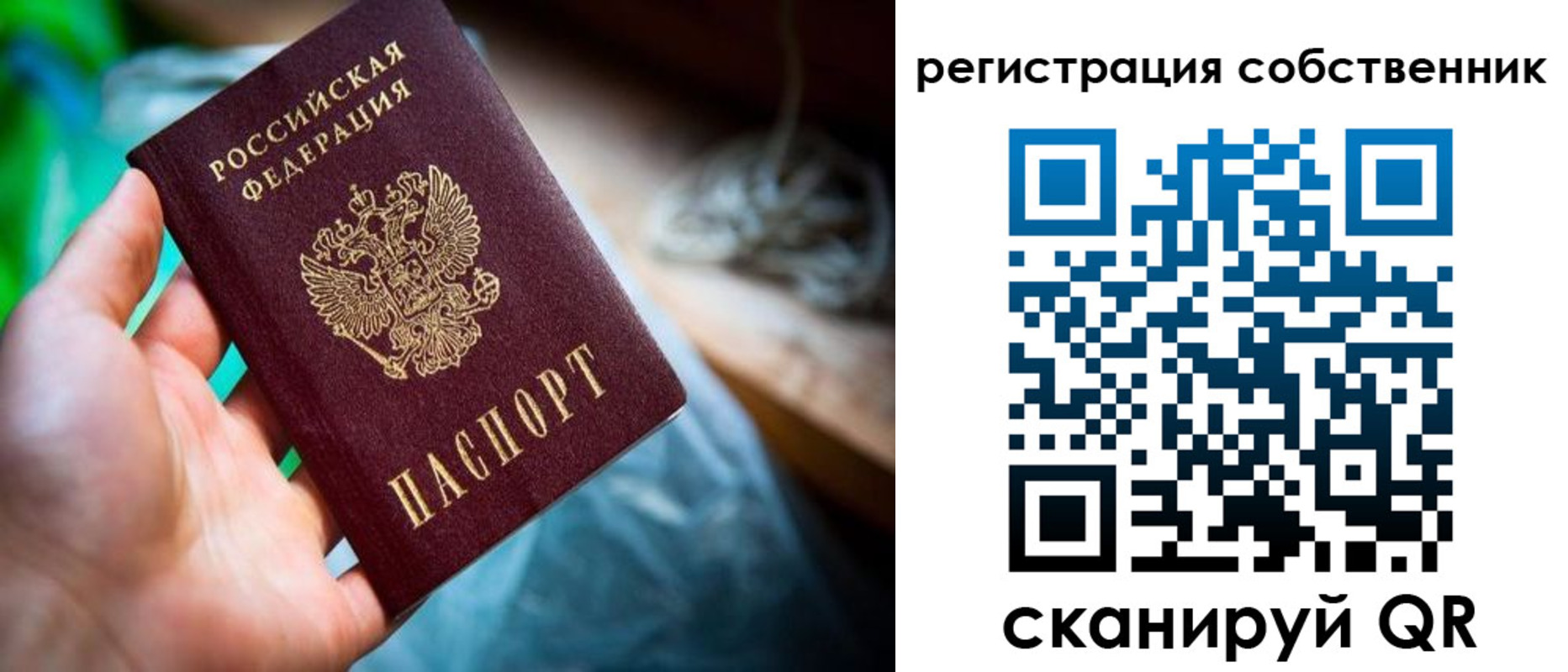 прописка гарантия в Козловке